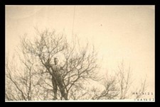 Photo, WW2, construction de lignes, soldat grimpe déjà un petit arbre 5026-977