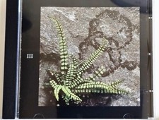 LED ZEPPELIN CD disc three