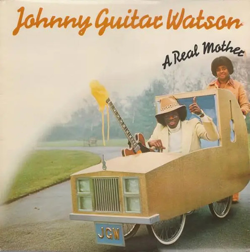 Johnny guitar watson real - guitar, a