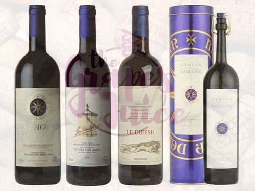 Tenuta san guido box - guido, vin