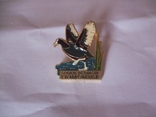 PINS  CANARD  SOCIETE DE CHASSE  LA MACREUSE
