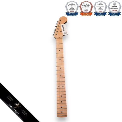 Warmoth fender stratocaster - fender,