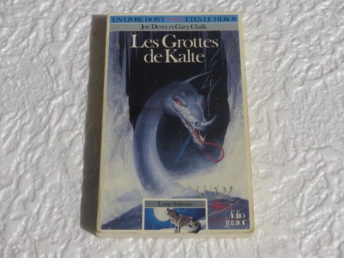 Livre dont vous êtes le - livre,
