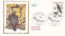 Enveloppe 1er jour Rapace Faucon Pèlerin 1984 CEF