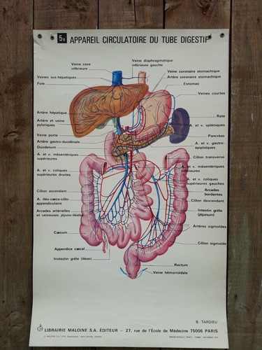 Ancienne affiche medecine 5b - affiche, medecine-