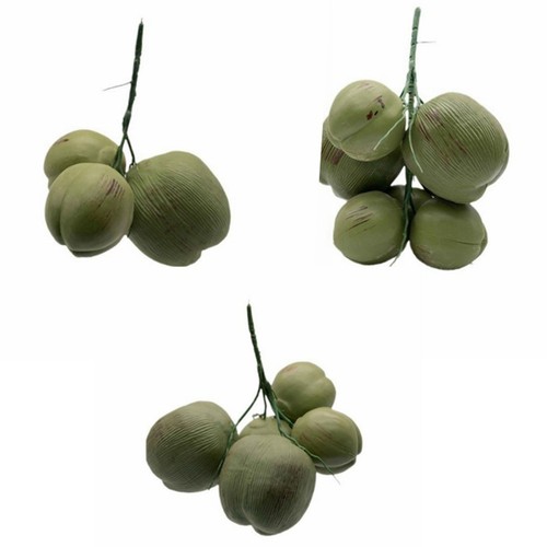 Accessoires noix coco - noix,