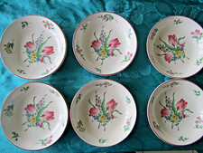 6 assiettes calotte creuse en