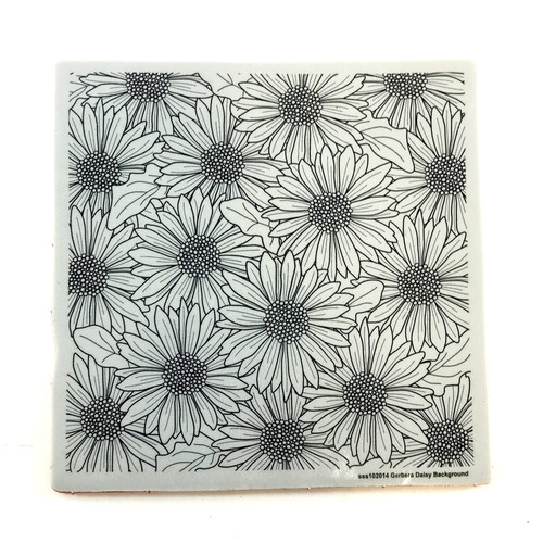 Simon says gerbera daisy - simon,