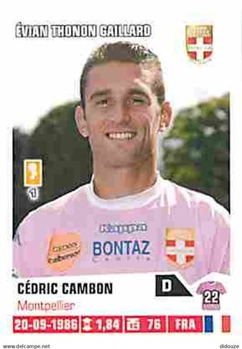 Stickers panini france foot - stickers,