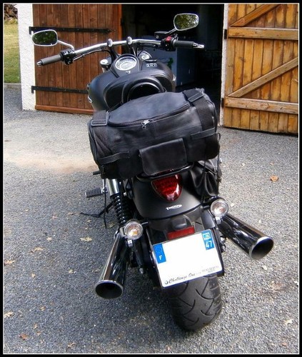 Sac sissy bar cuir - bar,