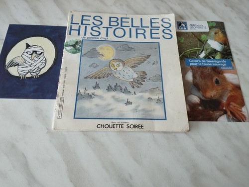 Les belles histoires pomme - belles,