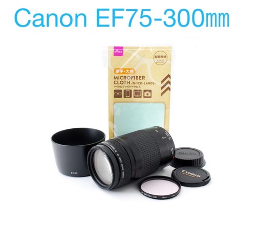 Objectif zoom canon 300 - objectif,