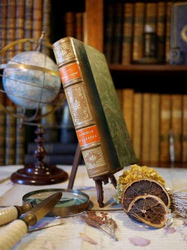 Gabrielle estrées presque - gabrielle, d'estrées