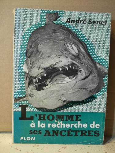 Senet homme la recherche - senet., À