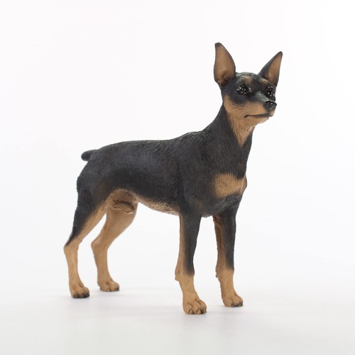 Miniature pinscher black tan - miniature,
