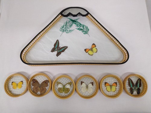 Sous verres papillons avec - verres,