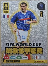 ZINEDINE ZIDANE LIMITED