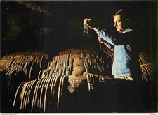 16 - Cognac - Etablissements