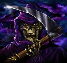 Drapeau Flag Thunderdome THE