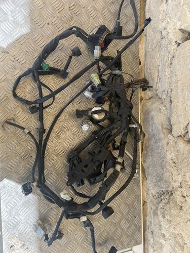 Faisceau électrique yamaha - faisceau,