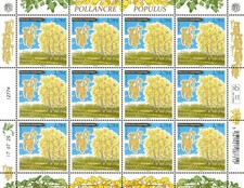 andorra 2025 trees POLLANCRE Catalan name for POPULUS Iberian Peninsula 12v FULL