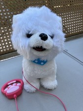 Chien Jouer Peluche Enfant