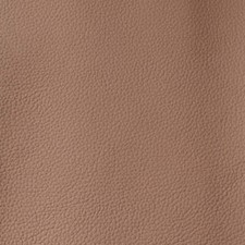 Morceau de cuir automobile