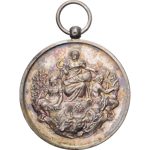 France médaille société - france,,