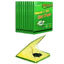 Piège Souris Rats Efficace - 10 Plaques Glu Collante - Maison Vert 21x31cm
