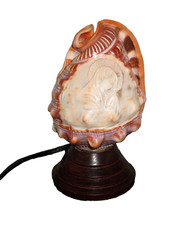 Lampe veilleuse coquillage