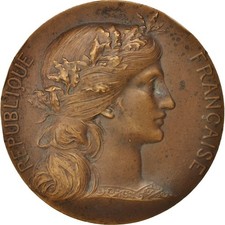 France, Medal, Offert par Mr. Faure, Député, History, XIXth Century, Dupuis.D