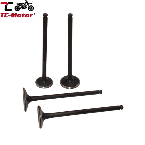 Motor intake exhaust valves - tc-motor,