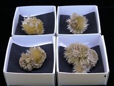 BIG Aragonite fluorescente -