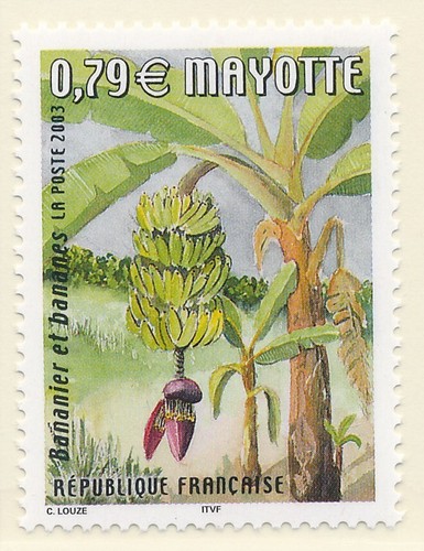 Timbre mayotte 141 neuf sans - mayotte,