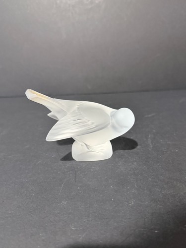 Moineau faisant toilette - sa,