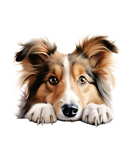 Autocollant Shetland Sheepdog 9 x 9 cm boîtes à pain autocollant décoration d...