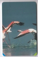 AFRIQUE TELECARTE / PHONECARD .. AFRIQUE DU SUD 15R OISEAU FLAMINGO PUZZLE PUCE