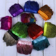 1 Mètre Faisan Garniture