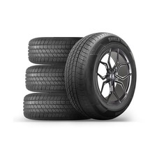 Set of 4 (FOUR) Sentinel