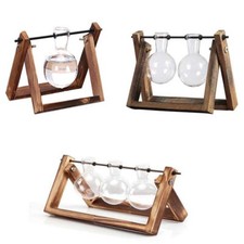 Rustic Plant Terrarium with