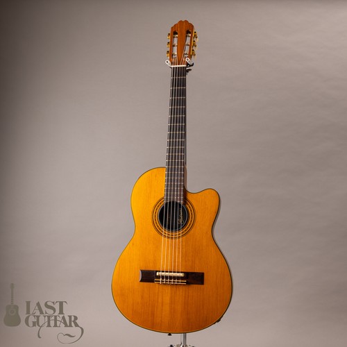 Gibson chet atkins 91 - chet,