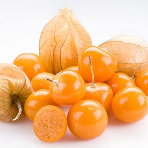 Graines physalis - graines,