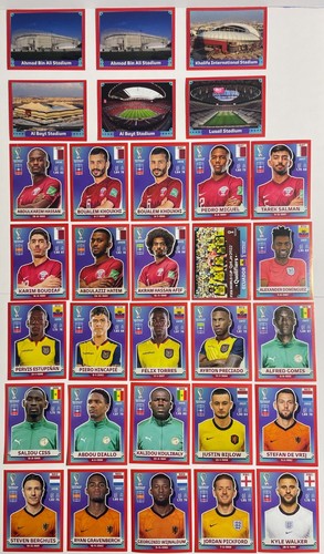 Panini fifa world - panini,