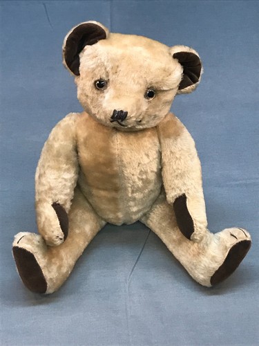 Ours peluche pintel vers - ours, pintel,