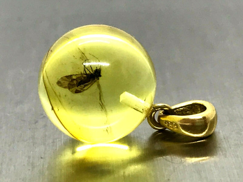 Pendentif ambre cadeau insect - pendentif,