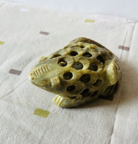 Grenouille mère bébé - ,