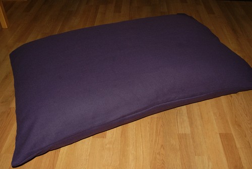 Grand violet chien animal - grand,