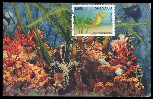 Monaco 2021 carte - monaco,