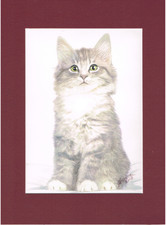 peinture aquarelle originale