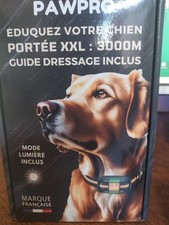 collier de dressage pour chien